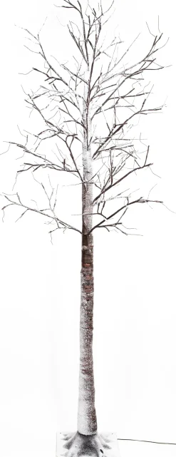 Anna's Collection decoratieboom berk met verlichting H 200 cm