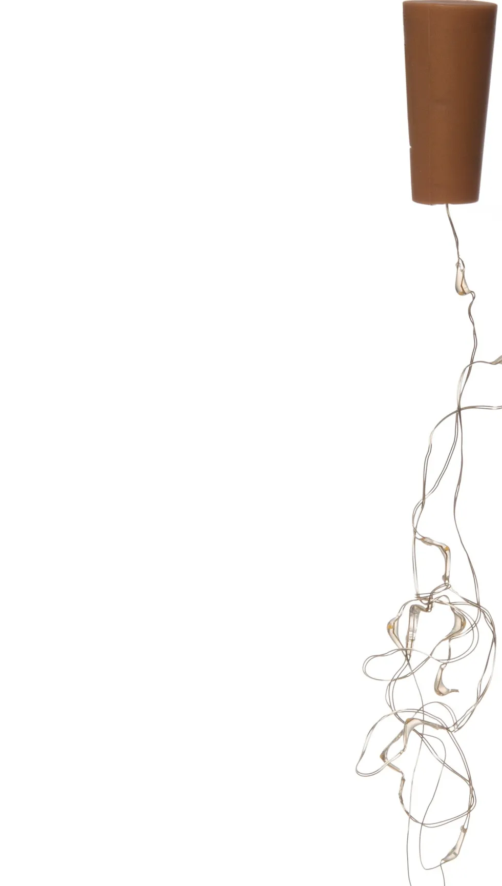 Anna's Collection draadverlichting voor fles met 10 LED lampjes warm white 1 m