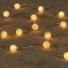 Anna's Collection draadverlichting bal zilver met 20 lampjes warm white 2 m