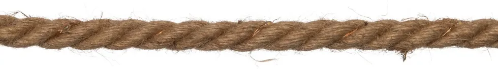 Anna's Collection draadverlichting touw met timer 20 lampjes classic warm 1,5 m