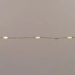 Anna's Collection draadverlichting goud met 40 lampjes warm white 2 m