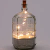 Anna's Collection Draadverlichting voor fles ster met 10 lampjes warm white 1 m
