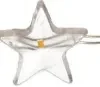 Anna's Collection draadverlichting ster met 40 lampjes warm white 2 m