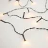Anna's Collection ijspegelverlichting basisset met 96 LED lampjes classic warm 4 m