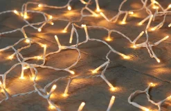 Anna's Collection kerstboomverlichting rice met 40 lampjes classic warm 2 m