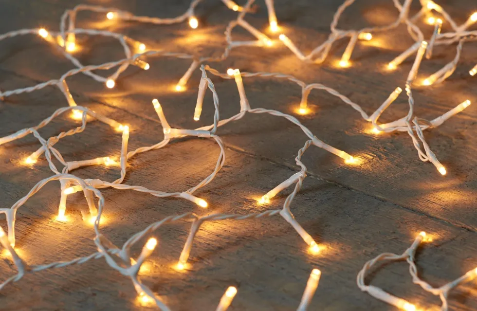 Anna's Collection kerstboomverlichting rice met 40 lampjes classic warm 2 m