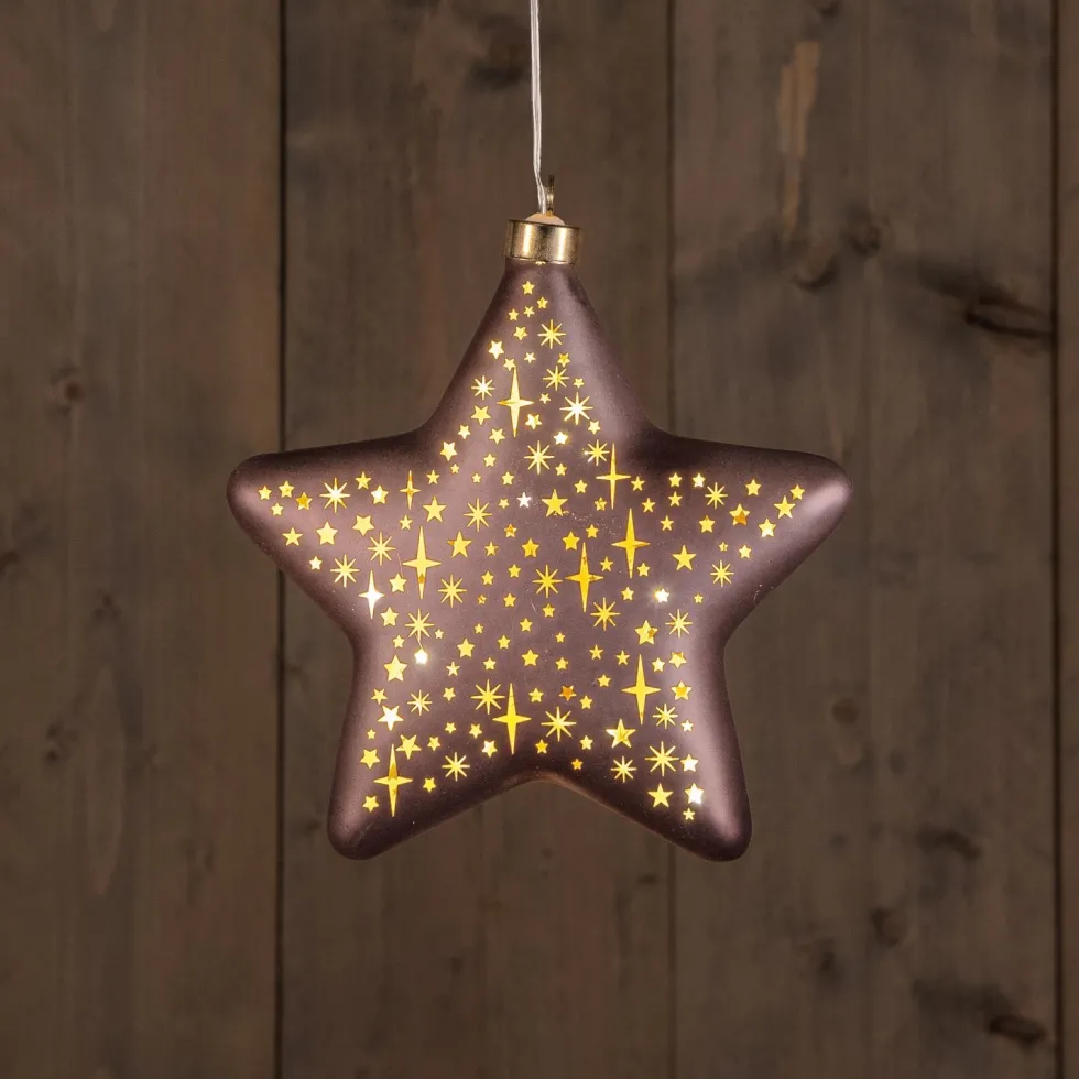 Anna's Collection kerst ornament Kosmos ster brons met verlichting 19 x 19 cm