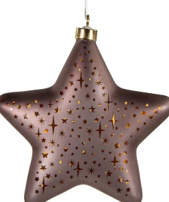 Anna's Collection kerst ornament Kosmos ster brons met verlichting 19 x 19 cm