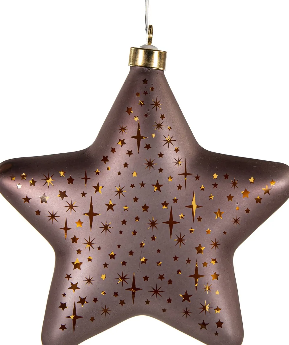 Anna's Collection kerst ornament Kosmos ster brons met verlichting 19 x 19 cm