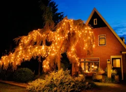 Anna's Collection miniverlichting Connect de Luxe met 100 lampjes classic warm 10 m