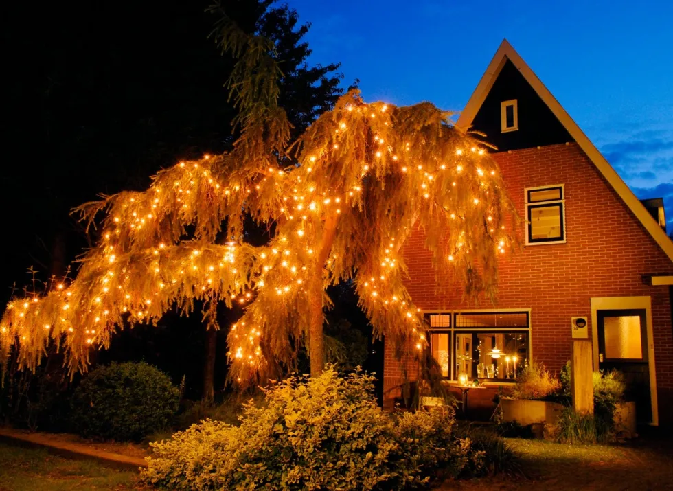 Anna's Collection miniverlichting Connect de Luxe met 100 lampjes classic warm 10 m