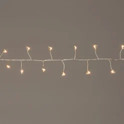Anna's Collection miniverlichting Ivy zilverdraad met 100 lampjes warm white 2,25 m