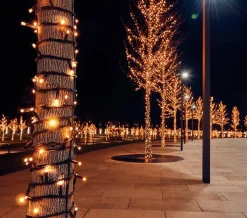 Anna's Collection miniverlichting met 100 lampjes classic warm 10 m