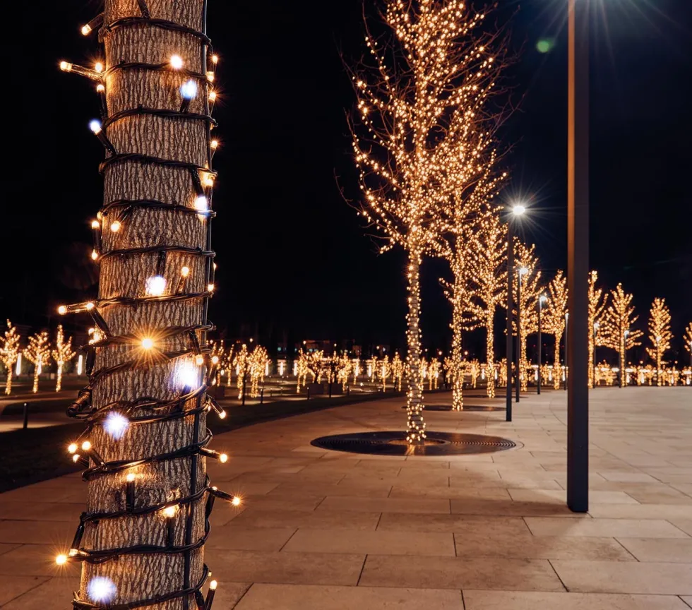Anna's Collection miniverlichting met 100 lampjes warm white 10 m