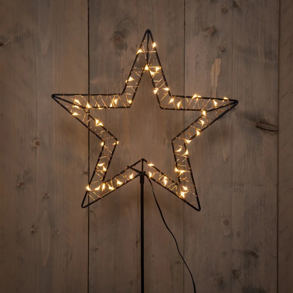 Anna's Collection tuinsteker ster met verlichting 100 cm