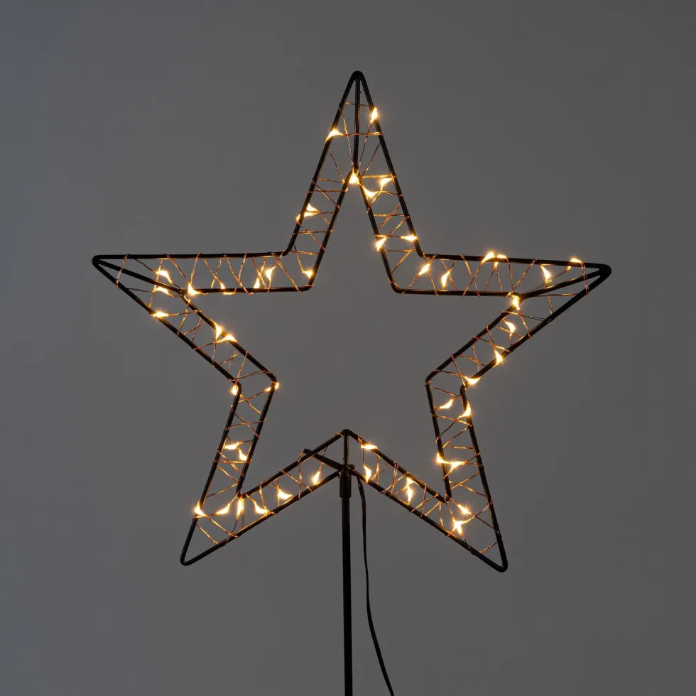Anna's Collection tuinsteker ster met verlichting 100 cm