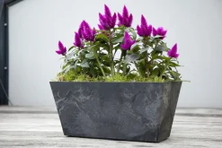 Artstone balkonbak Ella 37 x 17 cm zwart