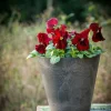 Artstone bloempot Claire D22 H20 cm zwart