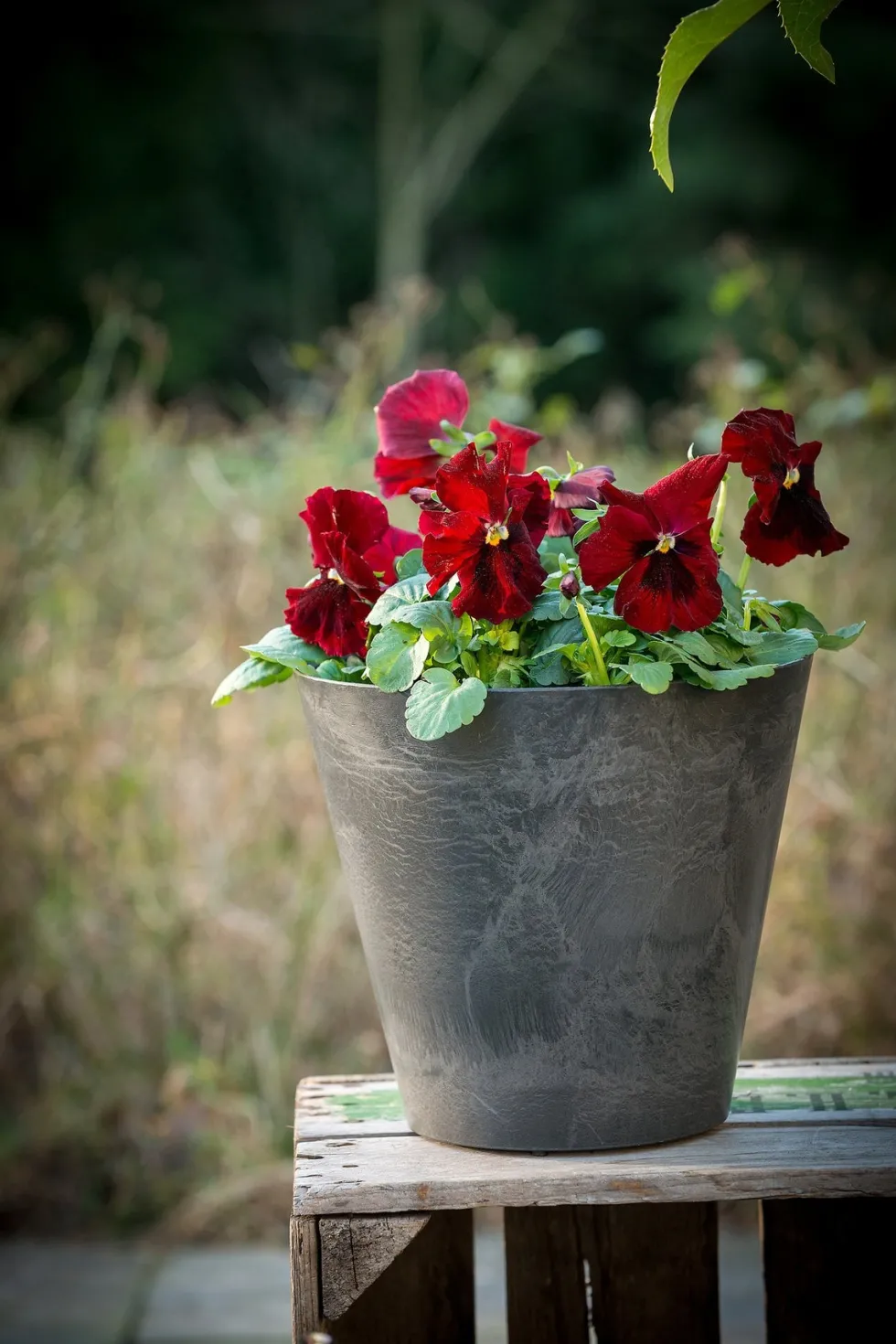 Artstone bloempot Claire D22 H20 cm zwart