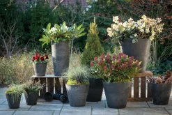 Artstone bloempot Claire D32 H29 cm zwart