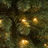 Black Box kunstkerstboom Charlton met 230 lampjes warm wit D 63 H 260 cm