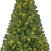 Black Box kunstkerstboom Charlton voor buiten met 470 lampjes warm wit D 137 H 240 cm