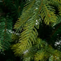 Black Box kunstkerstboom Grand Fir D 112 H 155 cm
