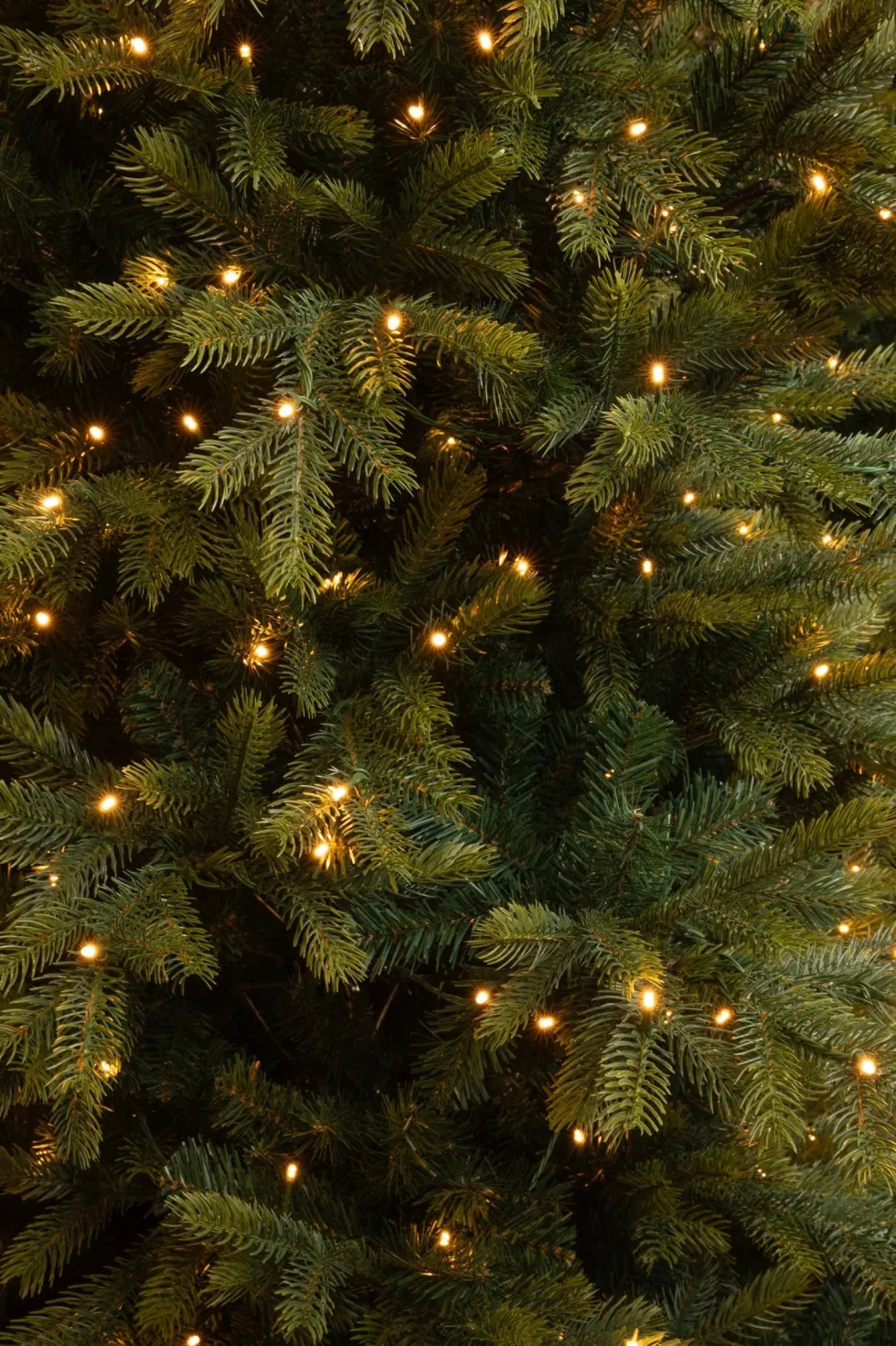 Black Box kunstkerstboom Grand Fir met 400 lampjes warm wit D 132 H 185 cm