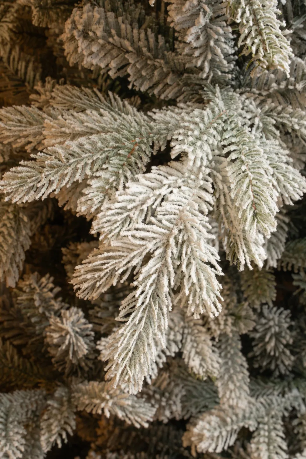Black Box kunstkerstboom Grand Fir besneeuwd D 182 H 305 cm