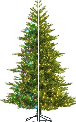 Black Box kunstkerstboom Yunnan met 1910 lampjes warm wit / extra warm D 137 H 215 cm