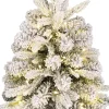 Black Box mini kunstkerstboom Grimshaw besneeuwd op jute voet met 40 lampjes warm wit D 45 H 60 cm
