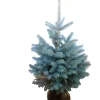 Blauwe spar kerstboom in zakpot 175 - 200 cm