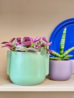 Bloempot Modern groen D 10,5 H 13 cm