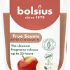 Bolsius geurkaars True Scents Apple Cinnamon bruin 25 uur D 7,3 H 8,1 cm