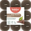 Bolsius geurkaars True Scents Oud Wood bruin 6 uur D 3,7 H 2,1 cm 18 stuks