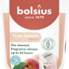 Bolsius geurkaars True Scents Peach oranje 25 uur D 8,4 H 5,2 cm