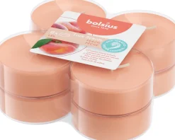 Bolsius geurtheelicht True Scents fruitig oranje 8 uur D 6 H 2 cm 8 stuks