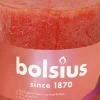 Bolsius stompkaars Rustiek Shine oranje 62 uur D 10 H 10 cm