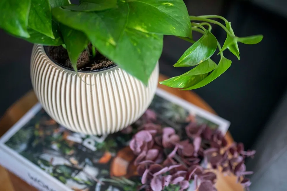 Capi Europe bloempot Groove bol beige D 29,8 H 25 cm