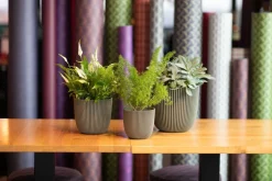 Capi Europe bloempot Groove Grass groen D 21,5 H 20 cm