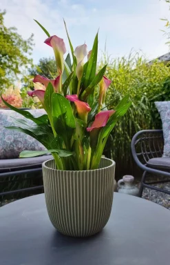 Capi Europe bloempot Groove Grass groen D 21,5 H 20 cm