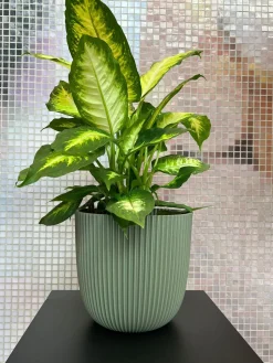 Capi Europe bloempot Groove Grass groen D 21,5 H 20 cm