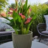 Capi Europe bloempot Groove Grass groen D 13 H 12 cm