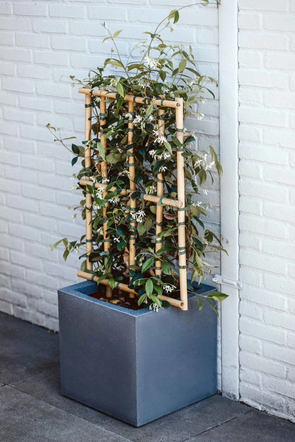 Capi Europe bloempot Urban Smooth grijs 30 x 30 x 30 cm