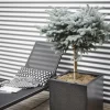 Capi Europe plantenbak Lux Terrazzo zwart 20 x 20 x 20 cm
