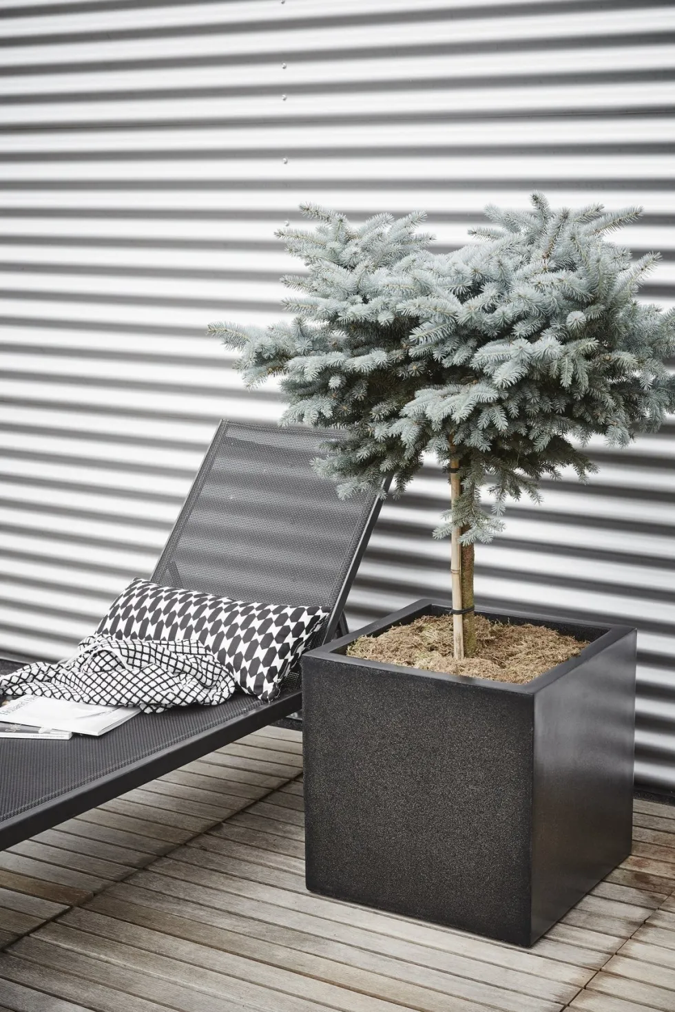 Capi Europe plantenbak Lux Terrazzo zwart 20 x 20 x 20 cm