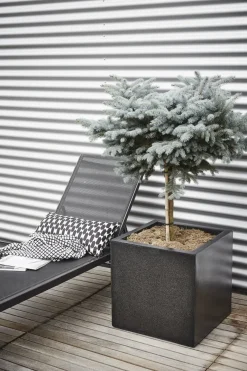 Capi Europe plantenbak Lux Terrazzo zwart 50 x 50 x 50 cm