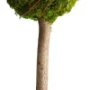 Dijk Natural Collections decoratieboom groen D 20 H 50 cm