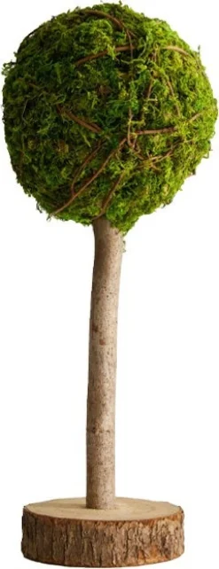 Dijk Natural Collections decoratieboom groen D 15 H 40 cm
