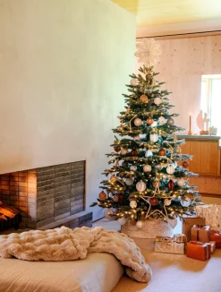 Dijk Natural Collections kerstster Seren beige D 37 H 1 cm